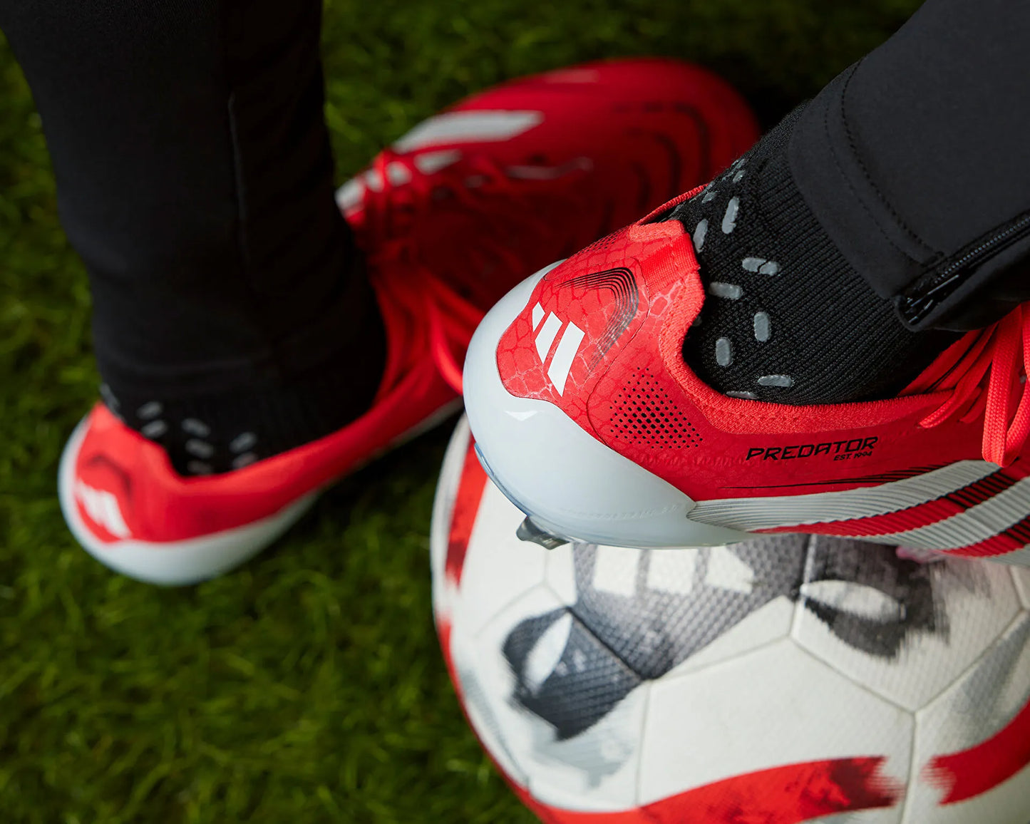 Zapatos Fútbol Adidas Predator Elite FG Sólo Uso Pasto Natural